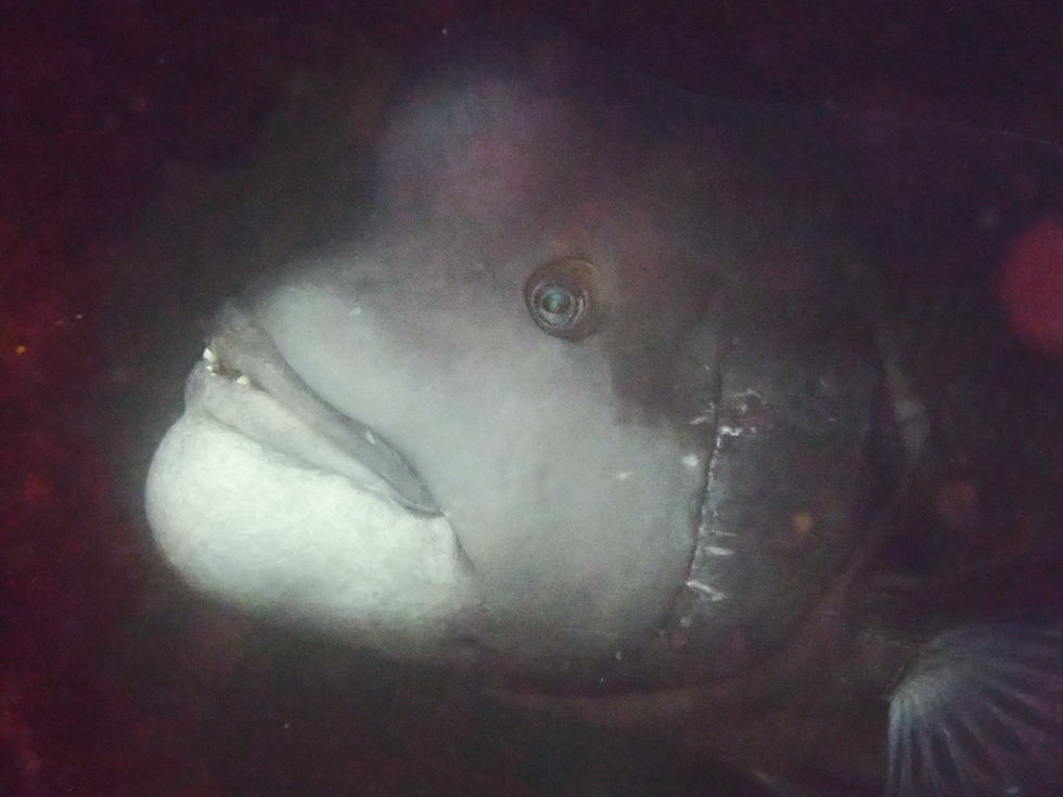 距離感近くない？？