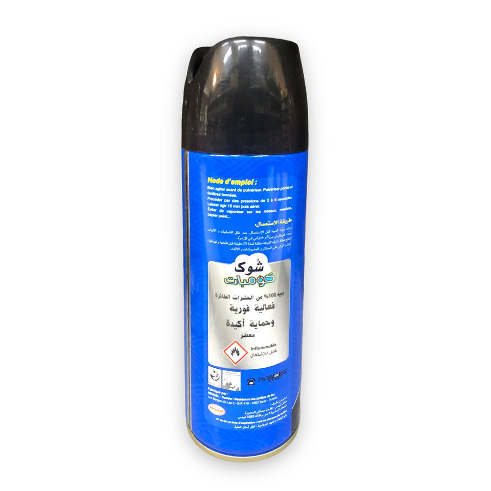 Miniature : CHOC combat 300 ML