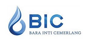 BIC.png