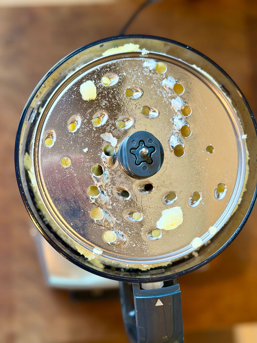 Food Processor Disc