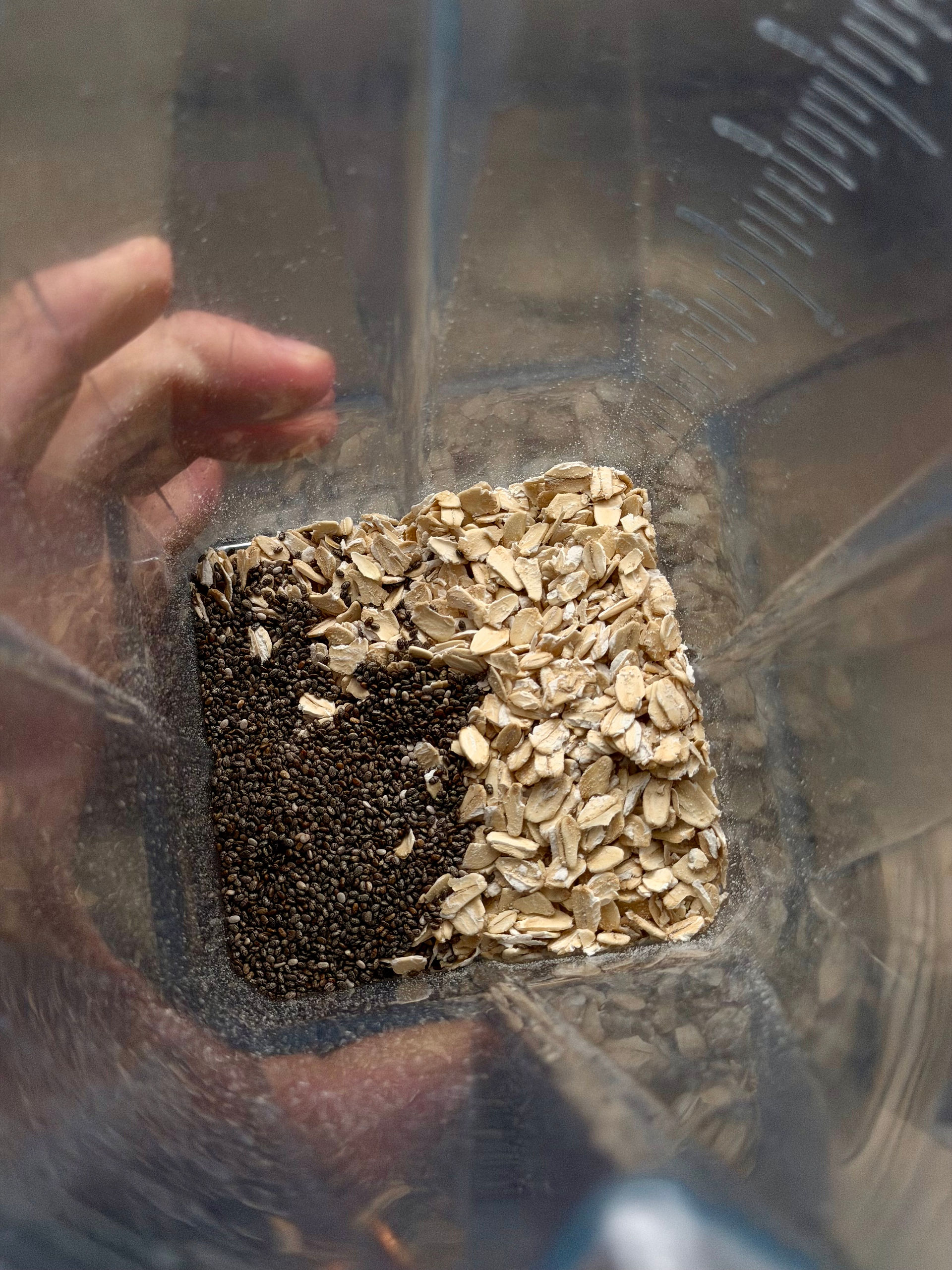 chia seeds and oats in a blender