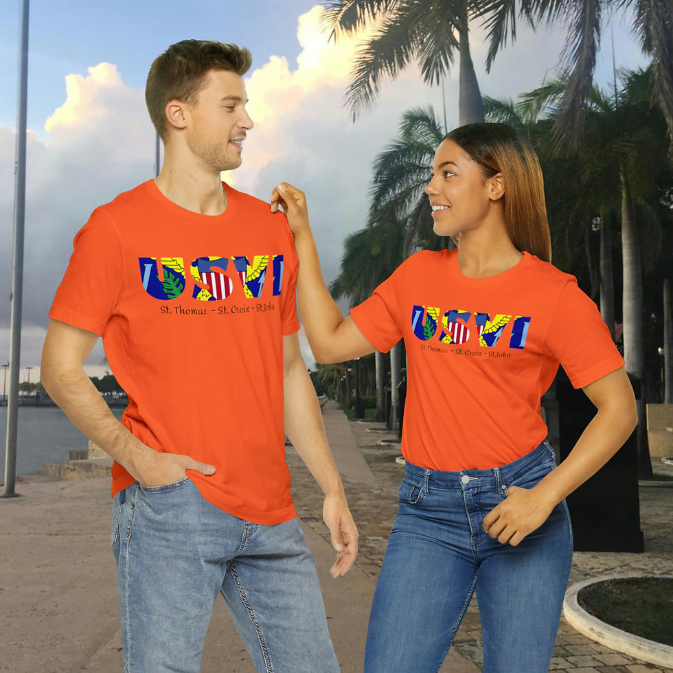 Thumbnail: USVI - Unisex Jersey Short Sleeve Tee(b)