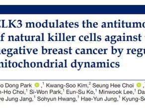 삼중음성유방암 ELK3단백질의 미토콘드리아 동역학 조절을 통한 면역민감성 증대 원인 규명