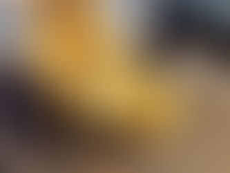 Pumba showing off the lion clip :)