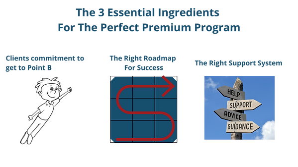 The Perfect Program (1).png