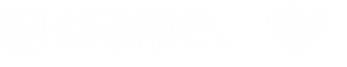 лог-орг.png