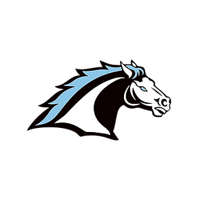 LogoBronco2 (2).png