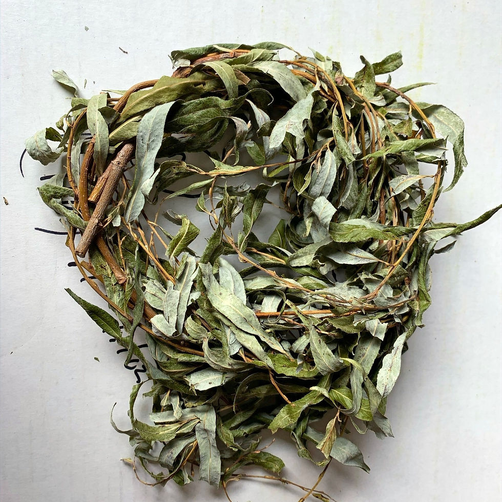 Thumbnail: Leafy Willow Wreath