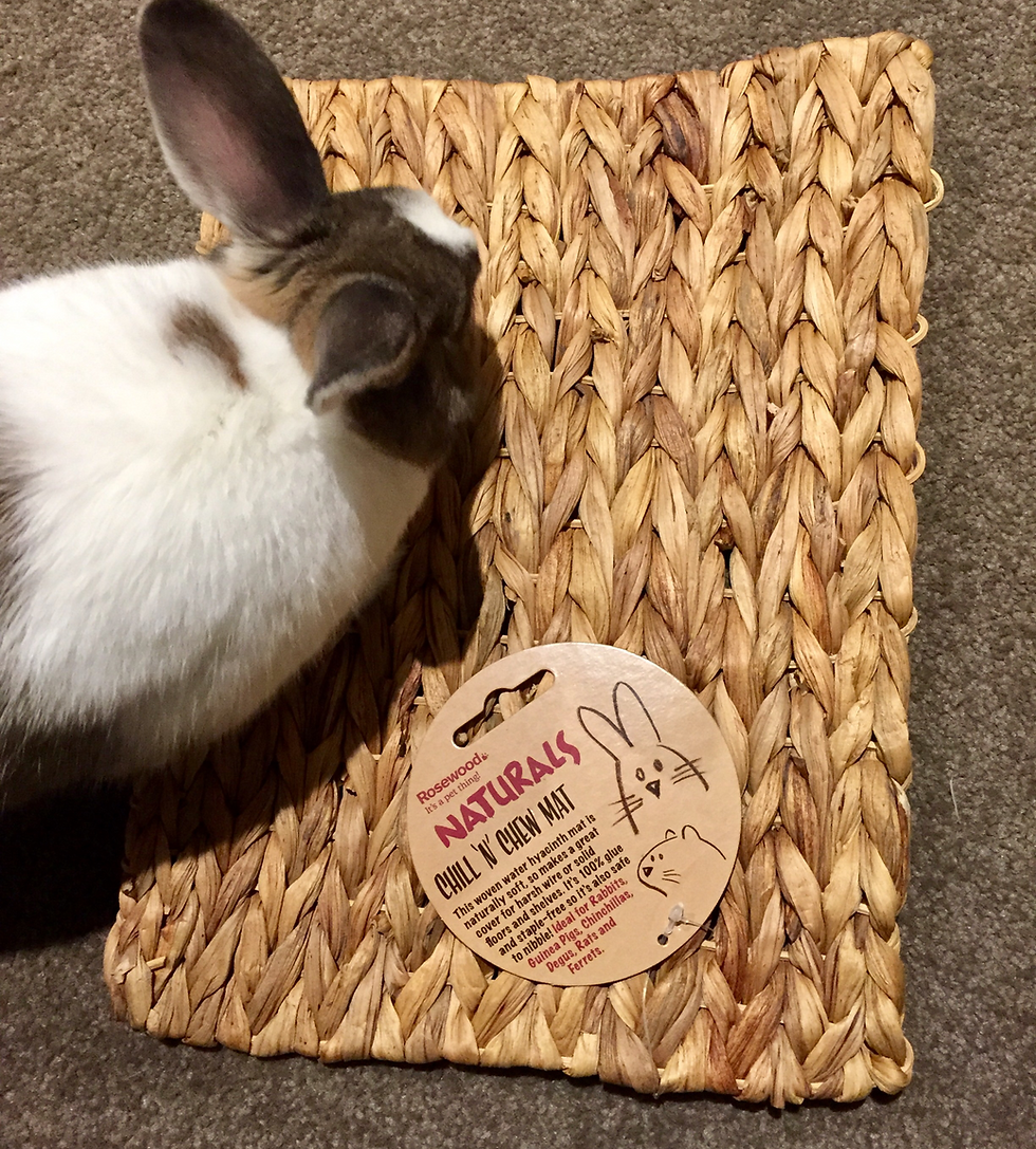 Rabbit discount chew mat