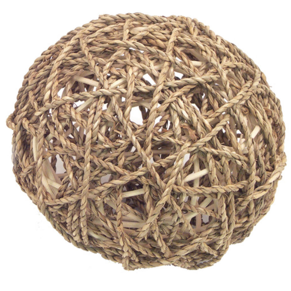 Thumbnail: Seagrass Ball