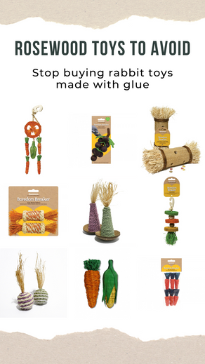 Rosewood Small Pet Toys to Avoid