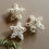 Thumbnail: Small Rattan Stars x 3+