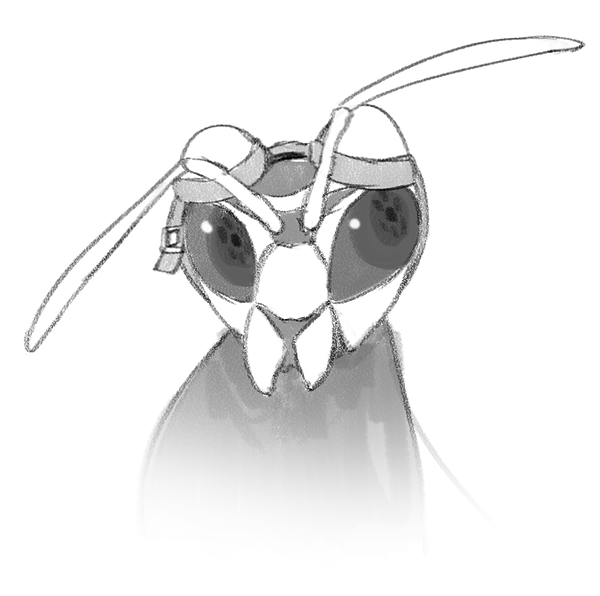 bug test.png