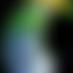           Two Windows, One World:                        A Dual Perspective on a Singular Image