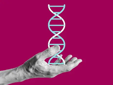 A New Chapter in Genetics: The Best-Ever Map of the Human Genome