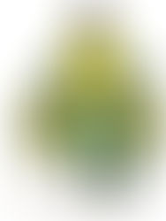 Déchets aux abords des immeubles