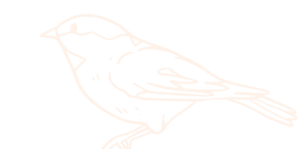 Nest Collection Strip Background