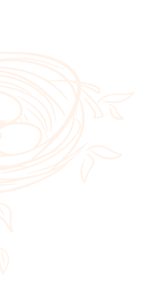 Nest Collection Strip Background