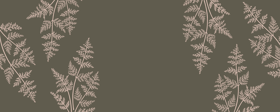 W+L Wix site strip (1000 x 400 px) (2).png