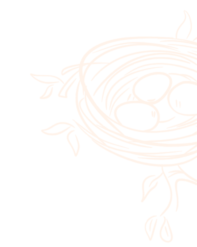 Nest Collection Strip Background