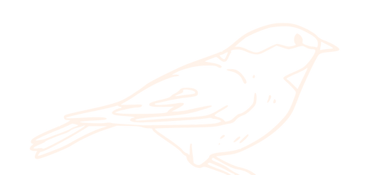 Nest Collection Strip Background
