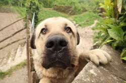 20220519090300_IMG_3678