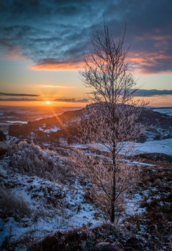 Frosty Tree at Ramshaw Rocks