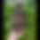 Thumbnail: Snug Nug (LARGE) 