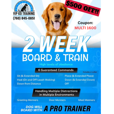 2-Week Board & Train Program (2 Dogs)