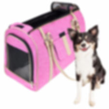 FrontPet Luxury Carrier