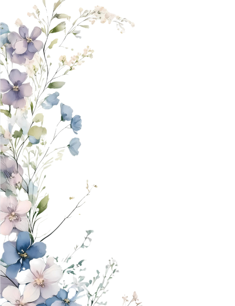bg3.png