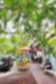coconut grove miami rental property