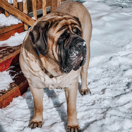 Bits of This & That #14 (hygge, moss hearts, cucumbers) 