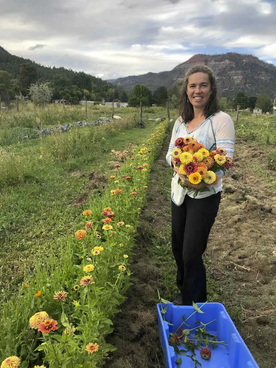 A podcast with Linley Dixon about organic growing and farming.