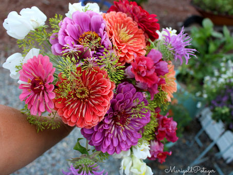 Sunday Bits #25 (heirlooms, secret garden, brassica bugs, flowers)