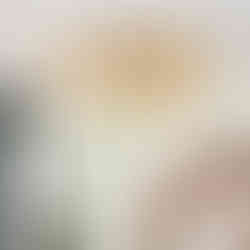 Boho Fandolier/ ceiling fan