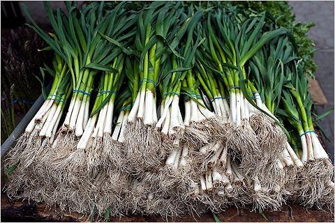 Green Garlic at a market.