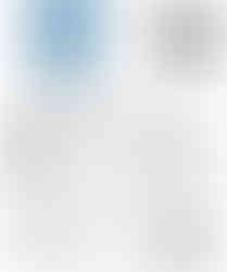 Protein shake in cookies and cream flavour.