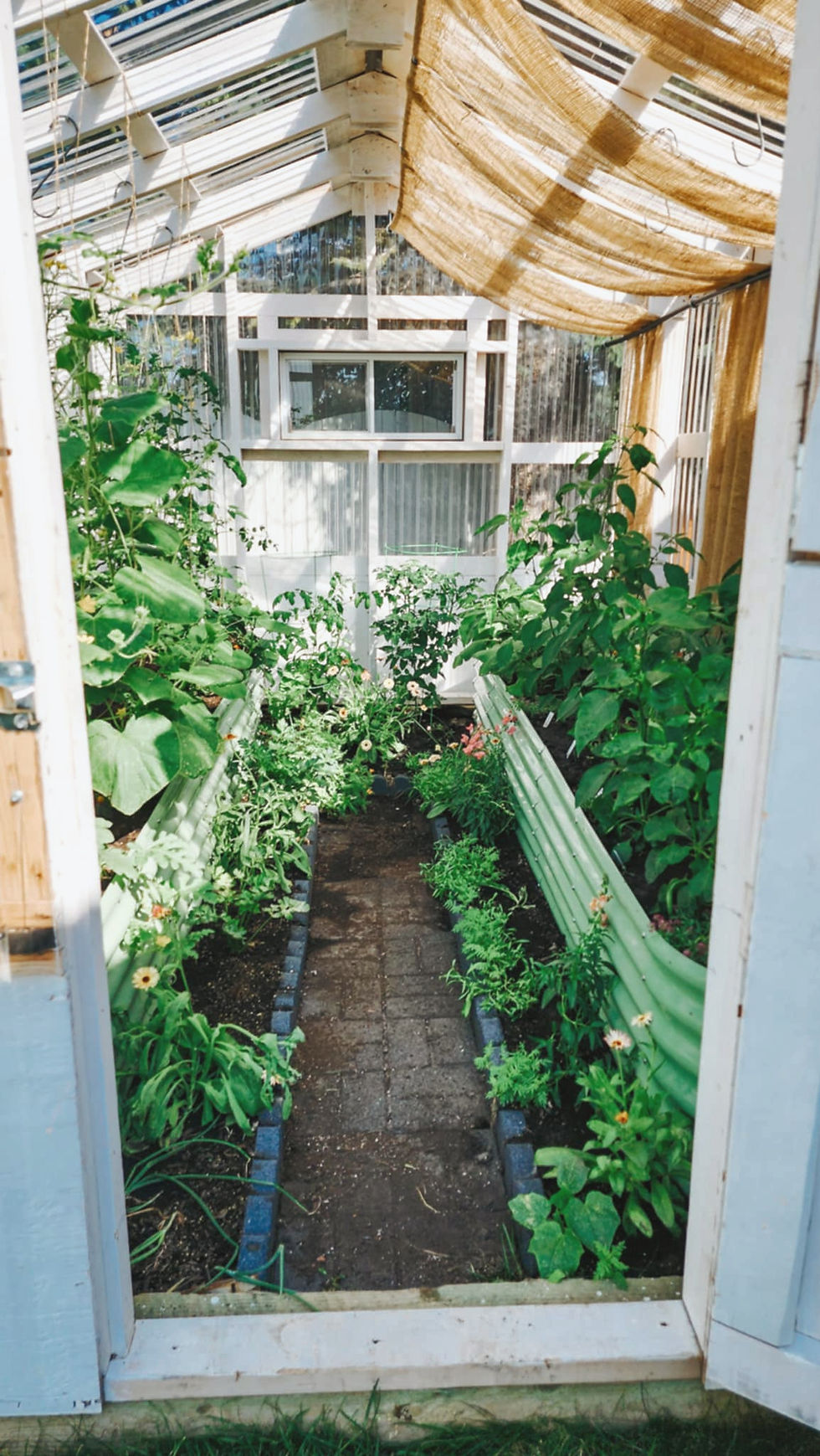 An open door to a greenhouse, filled with flowers and vegetables.