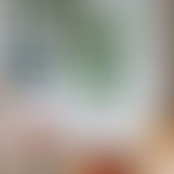 Sunday Bits #58 (Christmassy baking, decor, pets and poinsettias, seed sales) 