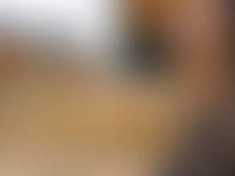 Bits of This & That #11 (plant labels, peppers, chioggia) 