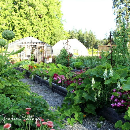 A New Home, New Potager, New Zone