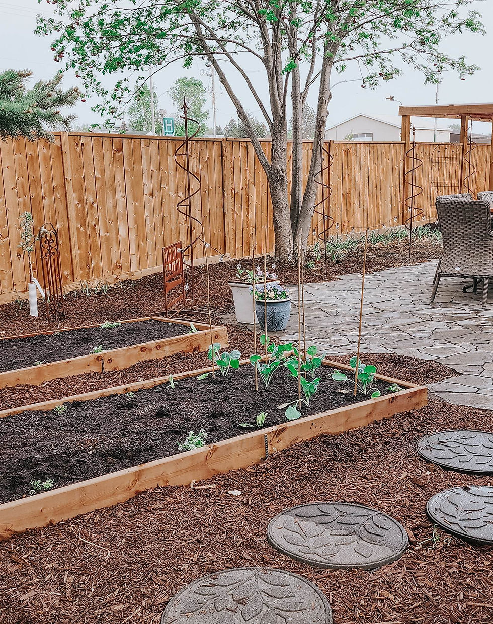 A raised garden bed that is just 6 inches deep.