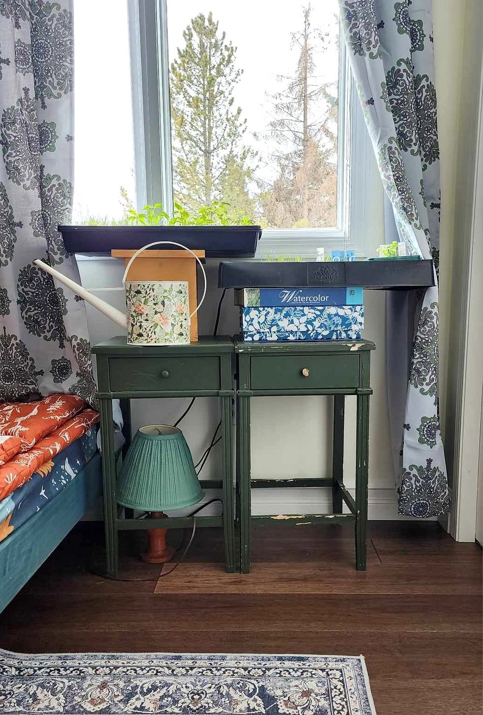 Seeds being starting in a bright window in the house.