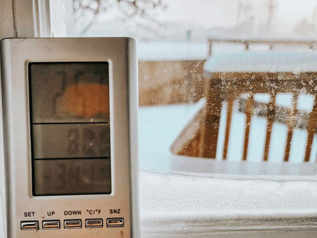 Sunday Bits #62 (metal vs wood raised beds, winter wellness tips, overnight cinnamon buns)