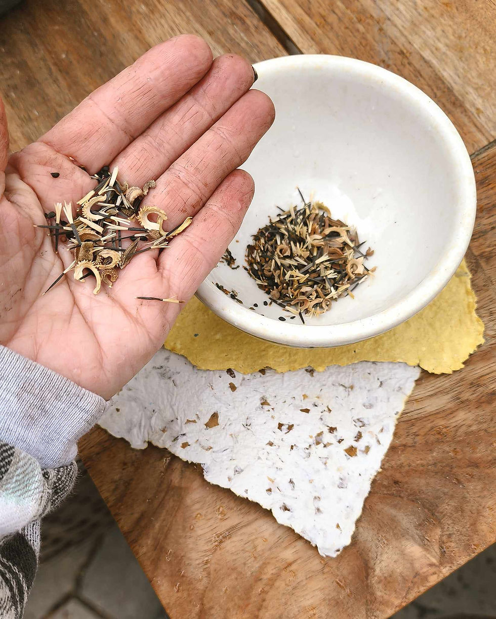 A bowl with mixed vegetable and flower seeds in it.