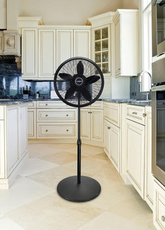 Pedestal Fan in black or white.