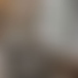 Where To Buy Seeds Online for the Home Gardener