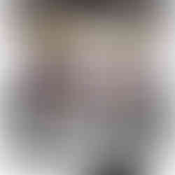 Dehydrator with 5 trays.