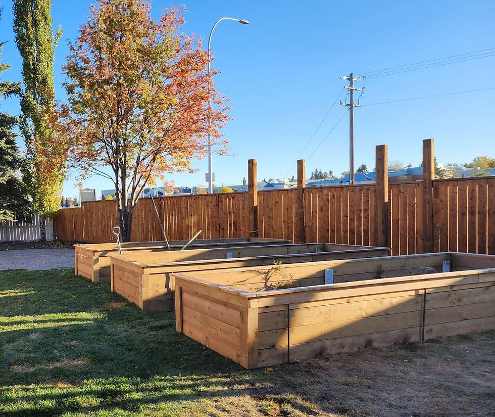 High wooden raised beds.